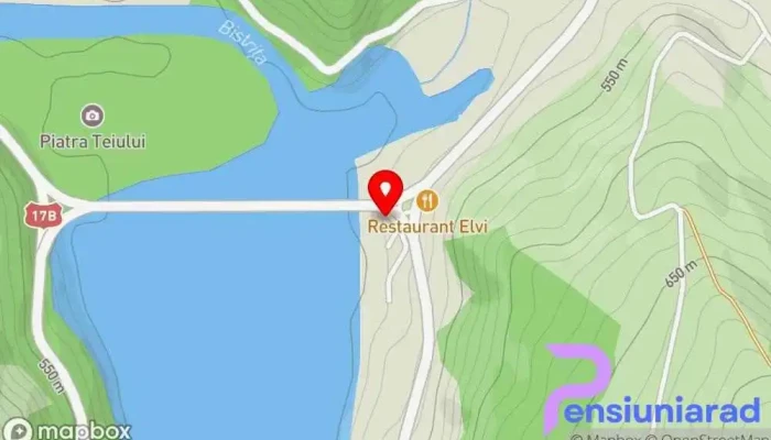 hartă a Pensiunea Teiul Bed & Breakfast în Poiana Largului