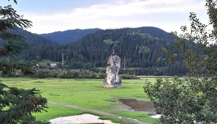 Pensiunea Teiul -  Scor - Poiana Largului