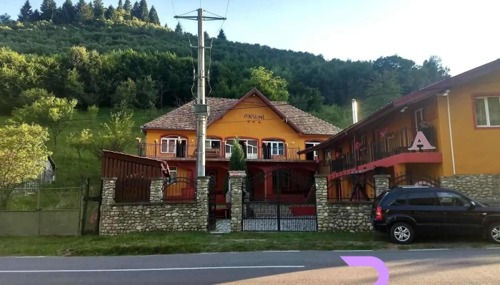 Pensiunea Titel -  Exterior - Romania