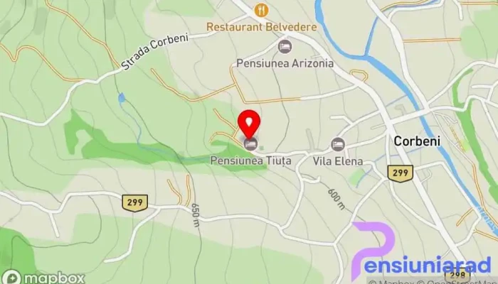 hartă a Pensiunea Tiuţa Bed & Breakfast în Corbeni