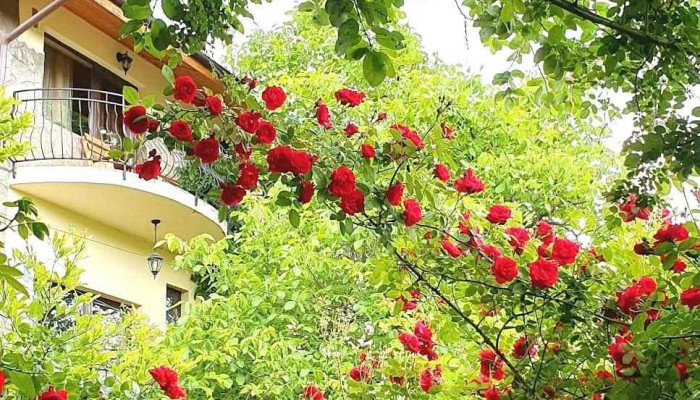 Pensiunea Top Demac -  De La Proprietar - Slănic