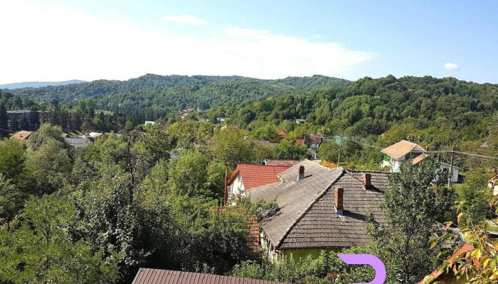 Pensiunea Top Demac - Slănic