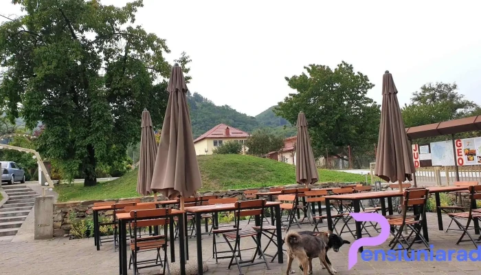 Pensiunea Valea Lupului -  Zonă - Valea Lupului