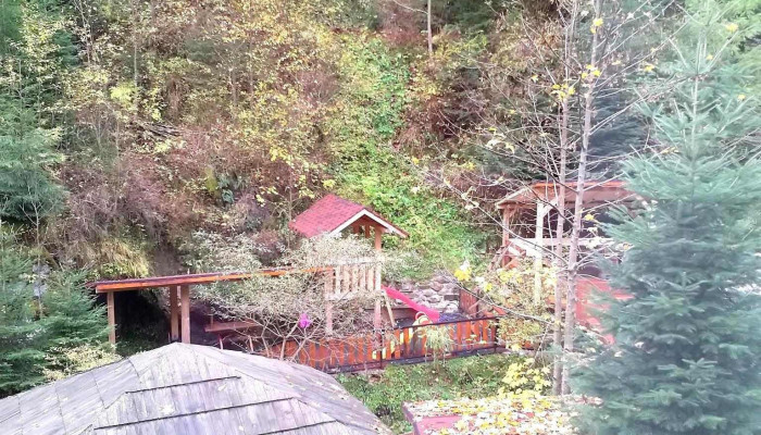 Pensiunea Valea Paradisului -  Cabana - Măguri-răcătău