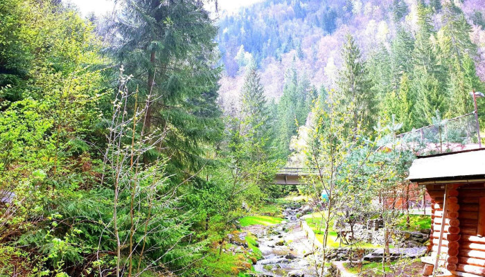 Pensiunea Valea Paradisului -  De La Proprietar - Măguri-răcătău