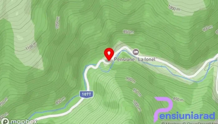 Pensiunea Valea Paradisului -  Hartă - Măguri-răcătău