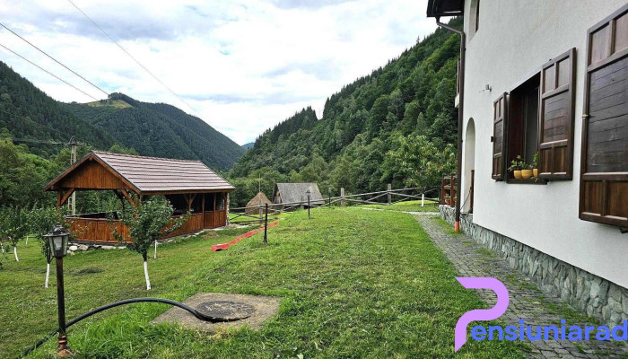 Pensiunea Valea Pinuluirau Saduluisibiu De La Vizitatori - Râu Sadului