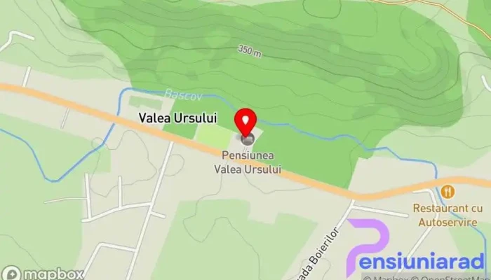 hartă a Pensiunea Valea Ursului Restaurant, Stație de încărcare pentru vehicule electrice, Hotel în Bascov