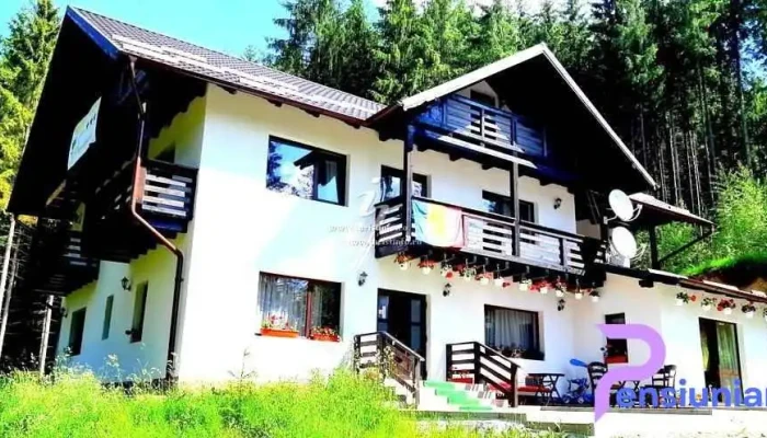 Pensiunea Vatra Bucovinei -  Zonă - Ciumârna