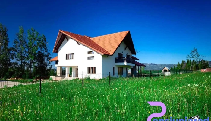 Pensiunea Veronica - Neagra Șarului 727517