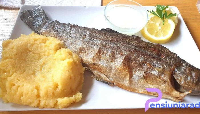 Pensiunea Vidra De Sus -  Mancaruribauturi - Vidra, Alba