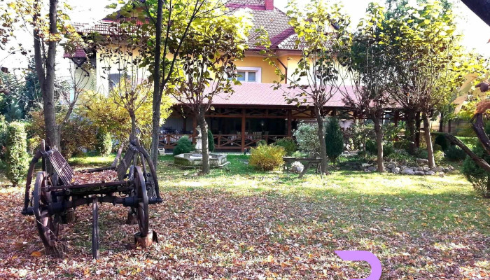 Pensiunea Vila President -  Exterior - Aleșd