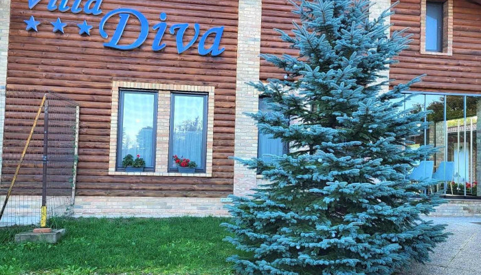 Pensiunea Villa Diva -  Exterior - Budureasa