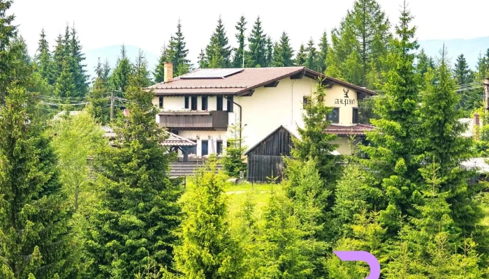 Pensiunea Vis Alpin -  Exterior - Beliș