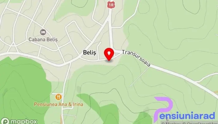 Pensiunea Vis Alpin -  Hartă - Beliș