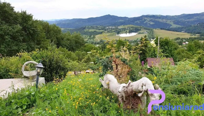 Pensiunea Vulturul -  De La Vizitatori - Vintileasca