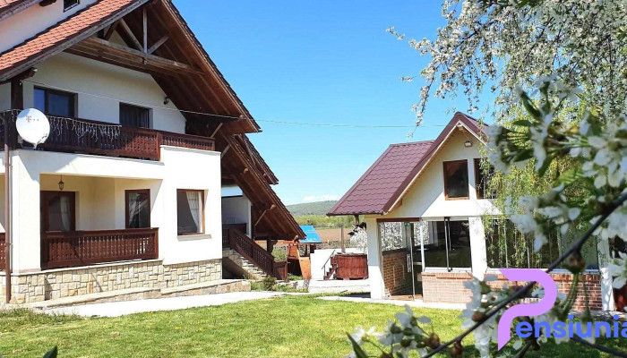 Pensiunea Zestrea Bunicilor -  Exterior - Bodești