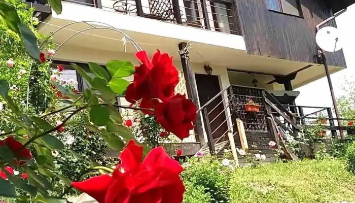 Pensiunile Casuta Cu Trandafiri 1 Si 2 Videoclipuri - Slănic
