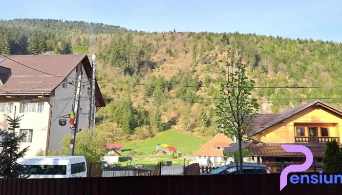 Perla Ariesului Scor - Albac