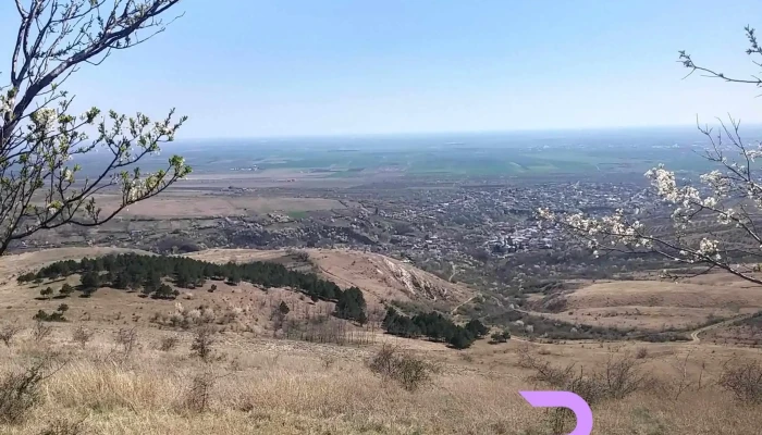 Persunari Program - Perșunari