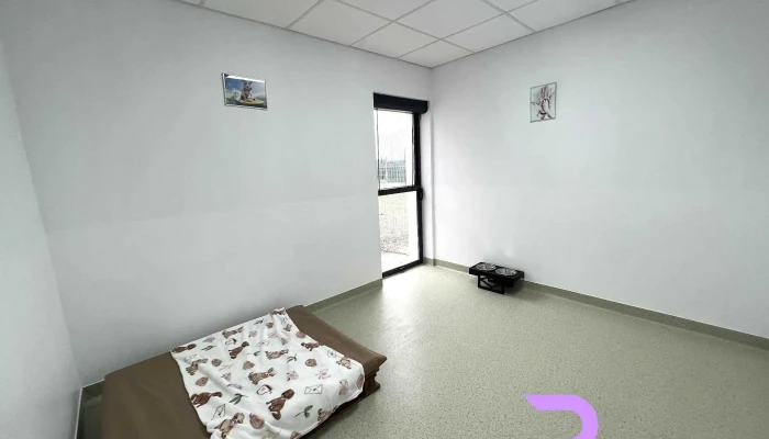 Pet Resort-Hotel caini/pisici Caciulati, Ilfov - Căciulați 077181