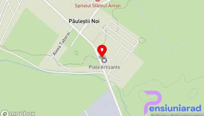 hartă a Piața Artizante Piață în Păulești