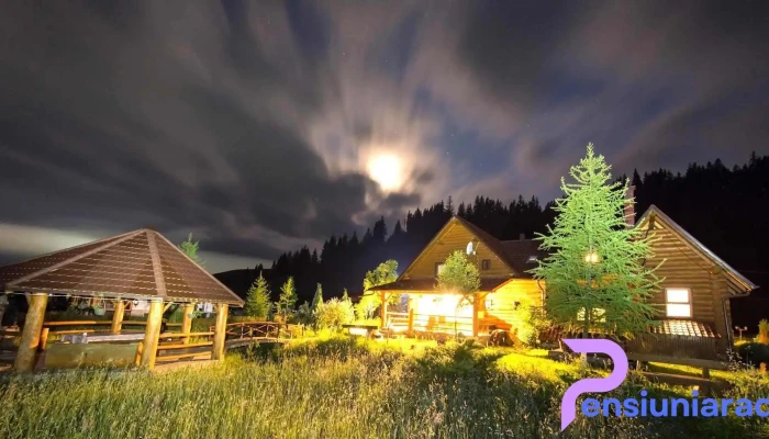 Piatra Runcului -  Zonă - Vatra Moldoviței