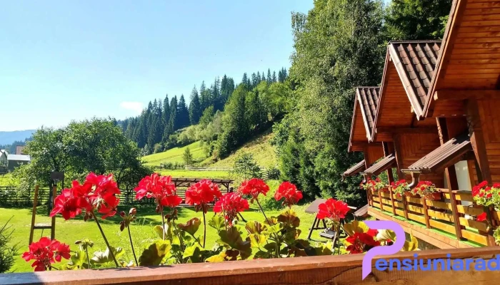 Pietrele Doamnei -  Cabana - Pojorâta