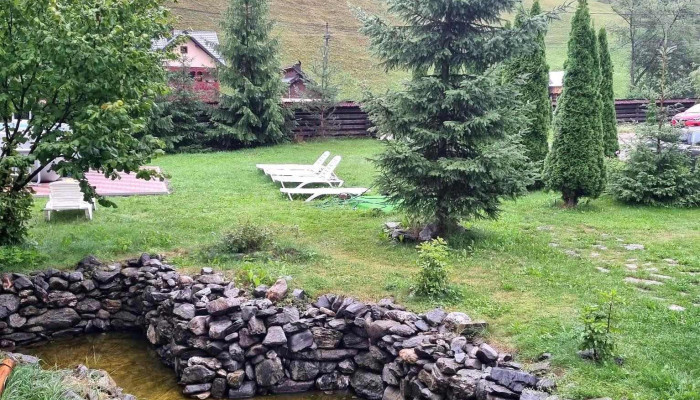 Pietrele Doamnei -  De La Vizitatori - Pojorâta