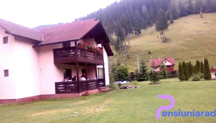 Pietrele Doamnei -  Exterior - Pojorâta