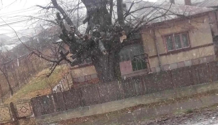 Pietrosani Fotografii - Pietroșani