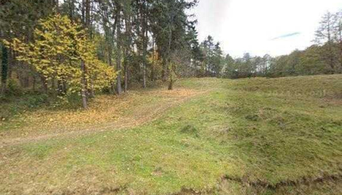 Piniale Glamping Trib -  Street View Si 360deg - Bughea De Jos