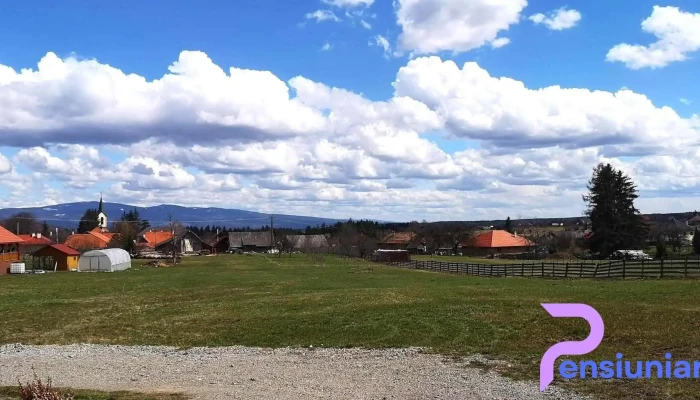 Pipas Panzio De La Vizitatori - 382 Szám