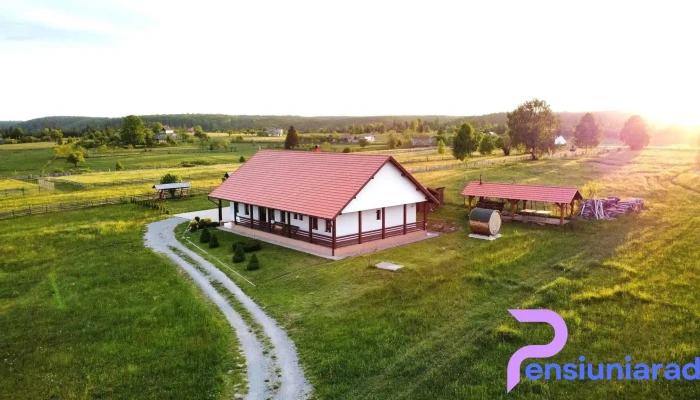Pipas Panzio Exterior - 382 Szám