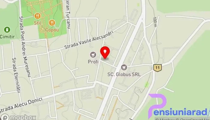 Pizzeria Italian Vaslui -  Hartă - Vaslui