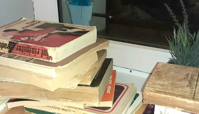 Pizzeria Trattoria Dei Fiori Cisnadie Fotografii - Cisnădie