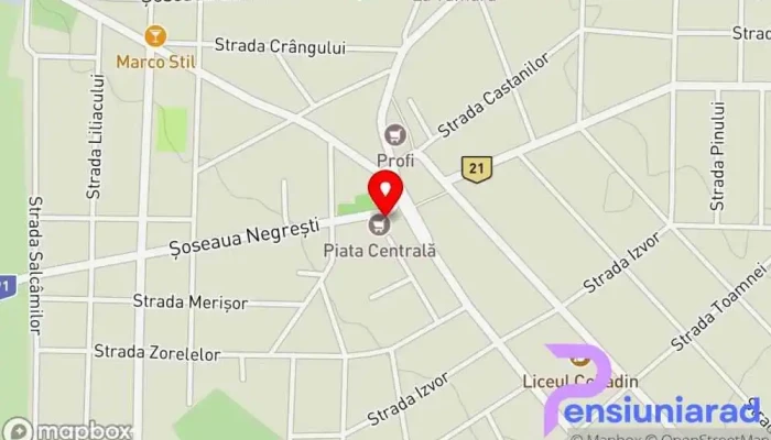 Pizzeria Udriste Hartă - Cobadin