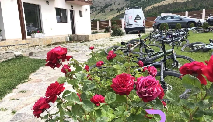 Plai Dobrogean -  De La Proprietar - Greci