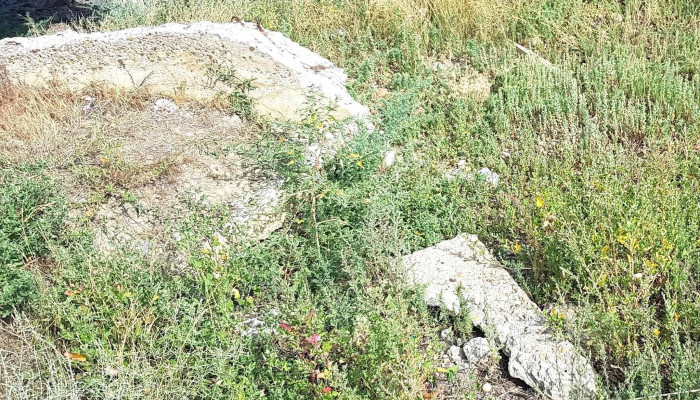 Plaja Lacu Sarat Unita Turism -  Zonă - Brăila