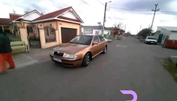 Pleaşov - Pleaşov