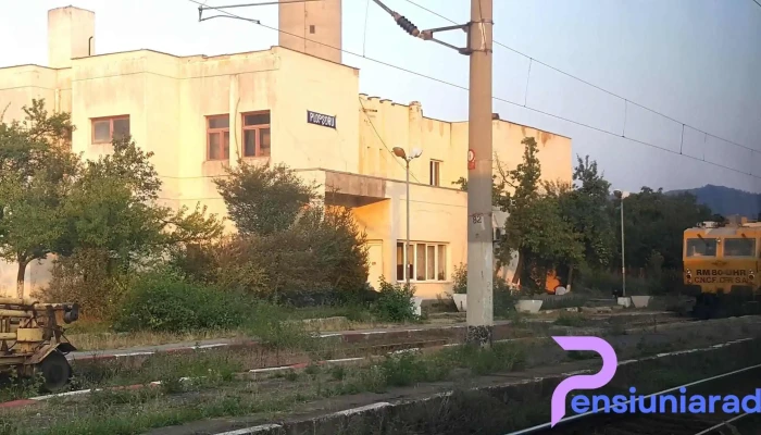 Plopsoru Program - Plopșoru