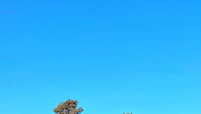 Poiana Cu Goruni -  Scor - Sat Vinerea, Strada Şantierului
