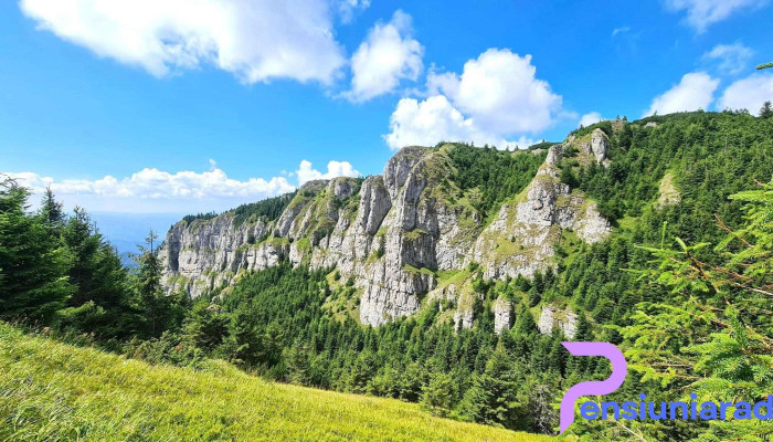 Poiana Stanile Jgeabul Lui Voda - Romania