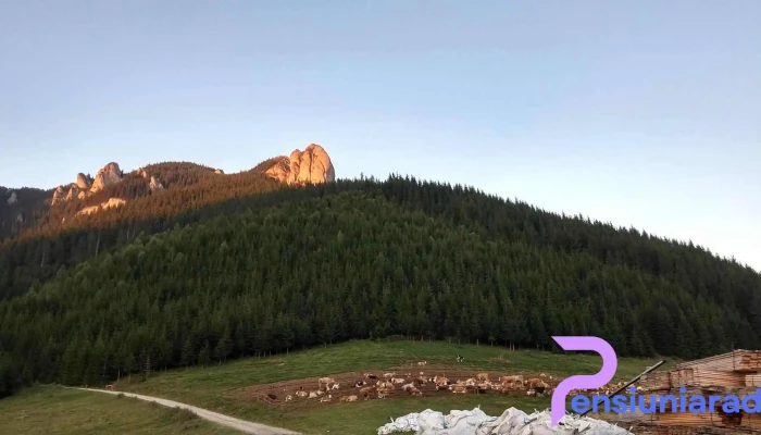 Poiana Stanile Jgheabul Cu Hotar - Romania