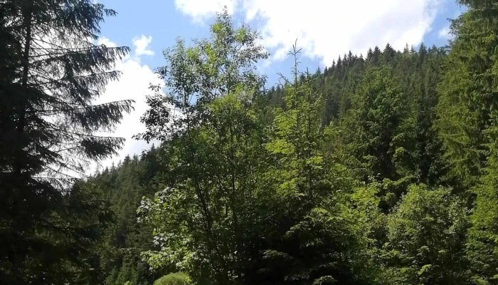 Poiana Stanile Romania - Romania