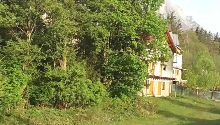 Poiana Tapului Videoclipuri - Poiana Țapului