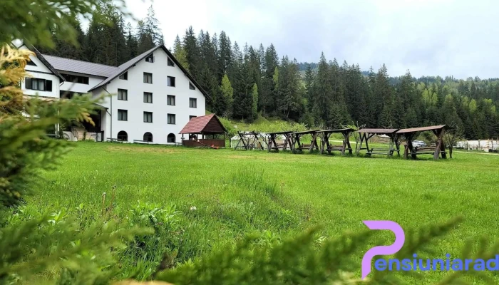 Poiana Verde -  De La Vizitatori - Albac