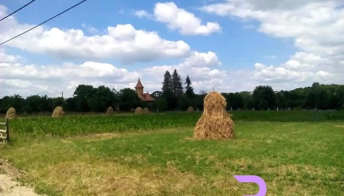 Poieni-Solca - Poieni-Solca