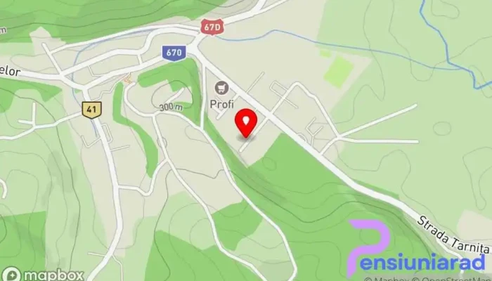 Politia Baia De Arama Hartă - Baia De Aramă