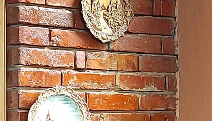 Popas Frumusani Instagram - Pasărea
